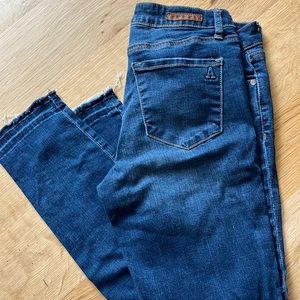 Articles of Society Skinny Jeans - Sz 27